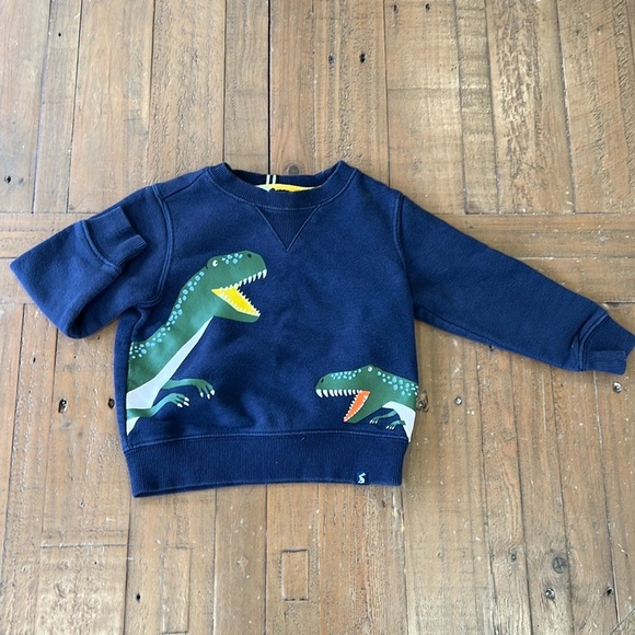 Joules navy dinosaur sweatshirt - Picture 1 of 6